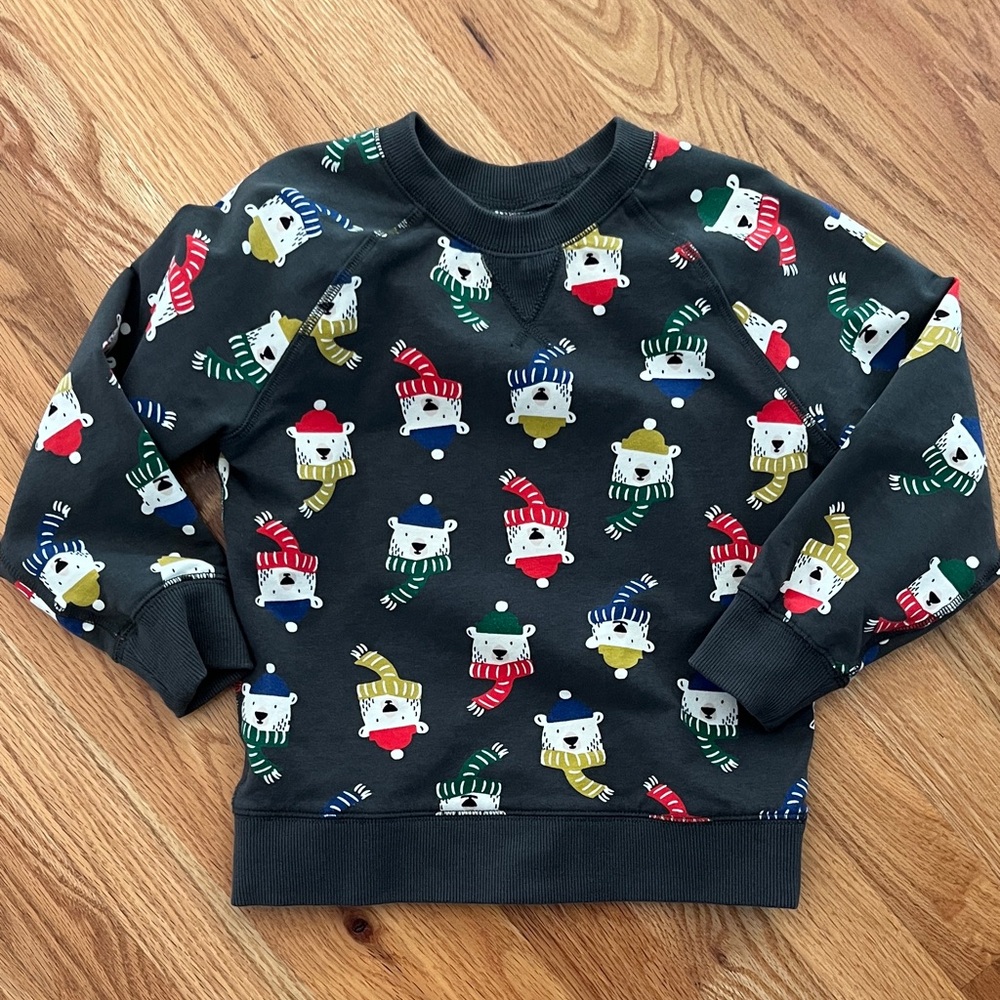 Hanna Andersson polar bear sweatshirt